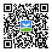 成都市香港六和资料大会平台介绍安全工作平台 小学香港六和资料大会平台介绍班86个